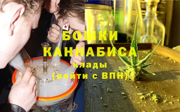 шишки Белокуриха