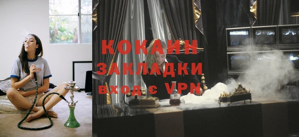 шишки Белокуриха