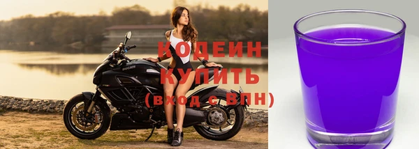 шишки Белокуриха