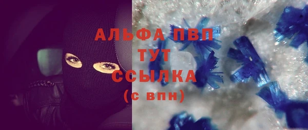 шишки Белоозёрский