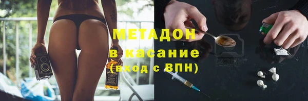 шишки Белоозёрский