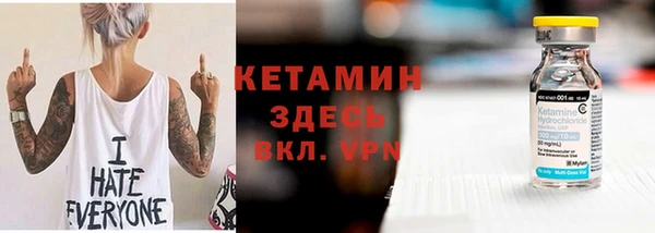 шишки Белокуриха