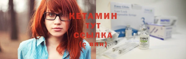 шишки Белоозёрский