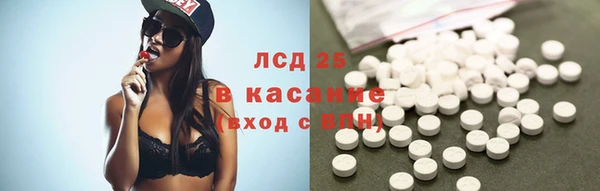 шишки Белокуриха