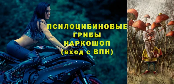 шишки Белокуриха