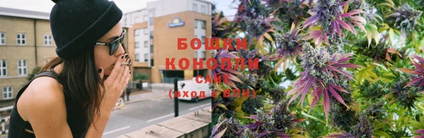 шишки Белоозёрский