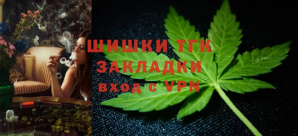 шишки Белокуриха