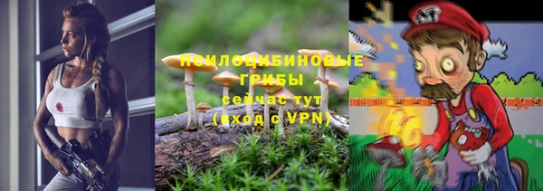 шишки Белокуриха