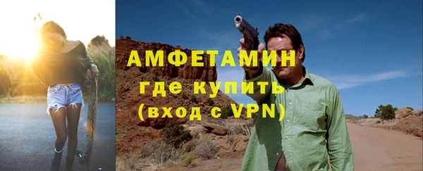 шишки Белокуриха