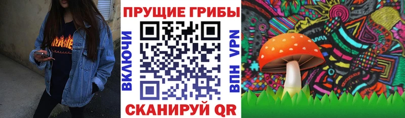 Галлюциногенные грибы Cubensis ссылка на мегу как зайти Курильск