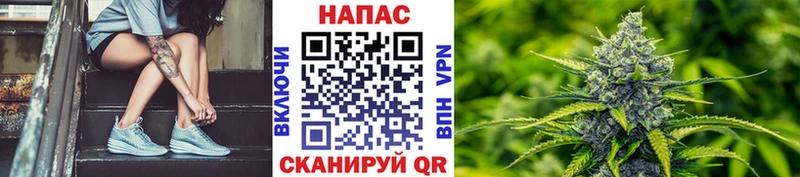 OMG ONION  Курильск  Бошки марихуана тримм 